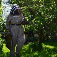 Beekeeper and found of Trish's Honey Products at work in the Apiary in Dunhill County Waterford