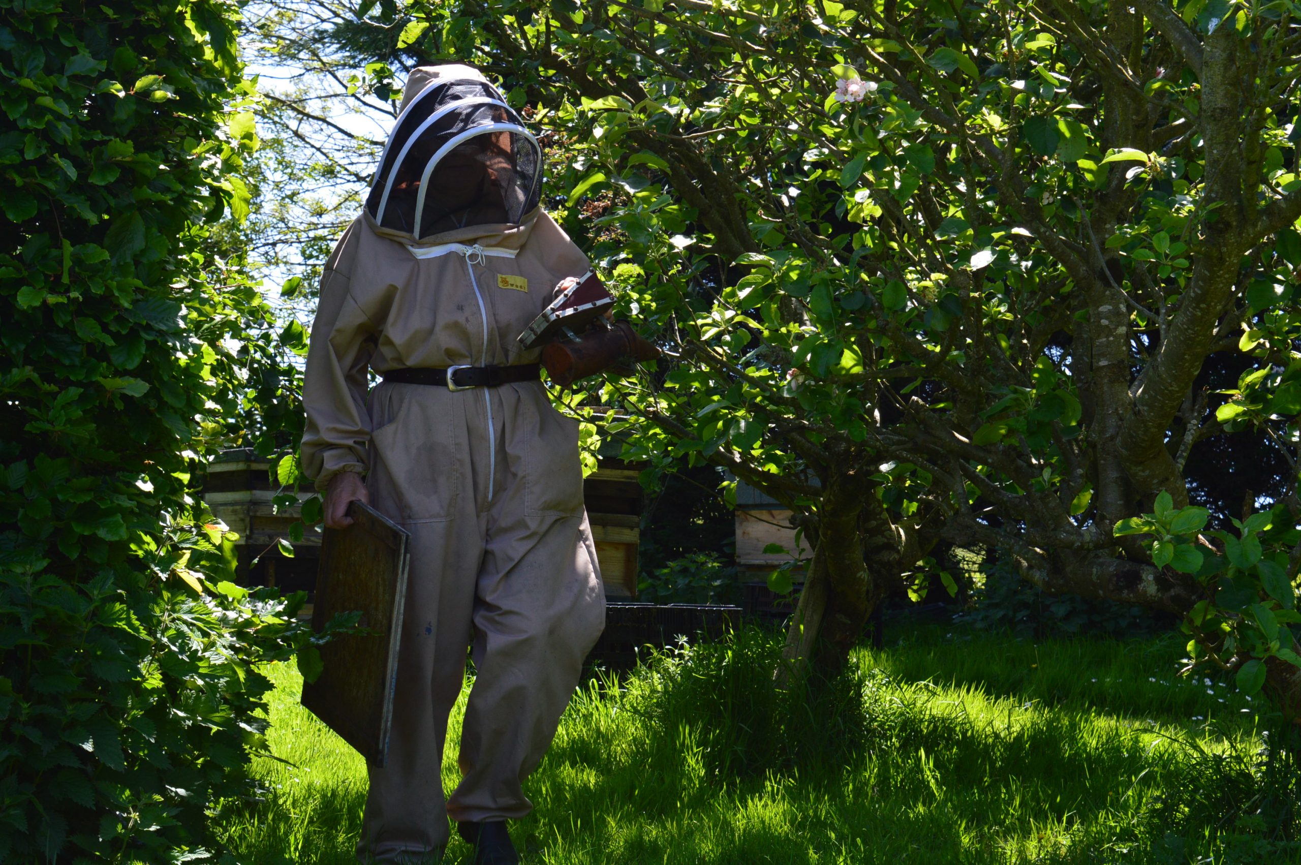 Beekeeper and found of Trish's Honey Products at work in the Apiary in Dunhill County Waterford